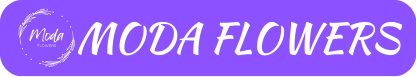 https://www.instagram.com/modaflowerrs